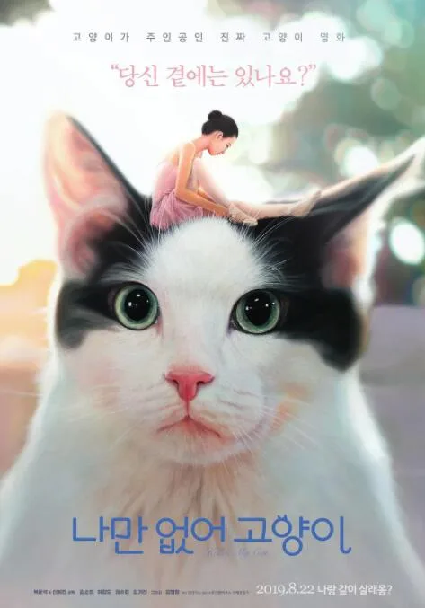 只有我没有猫