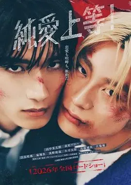 纯爱上等