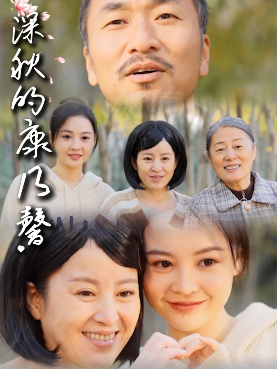 深秋的康乃馨